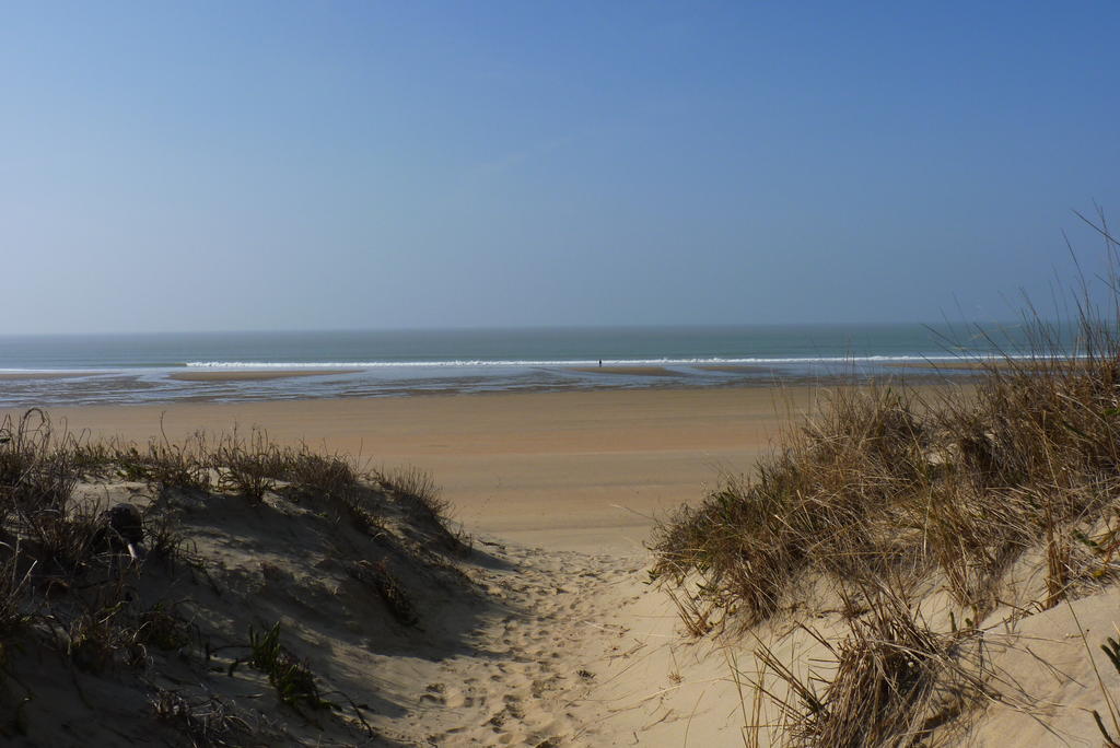 Arc En Ciel Oleron Hotel แซ็ง-โทรจง-เลส์-แบ็งส์ ภายนอก รูปภาพ